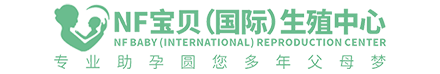 富宸网